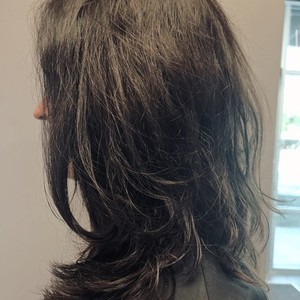 Img 0211