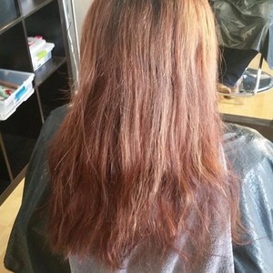 Img 0296