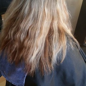 Img 0300