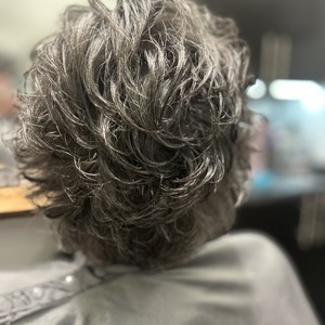 Img 7548
