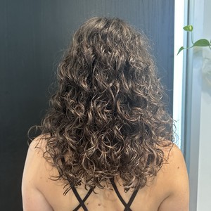 Img 1391