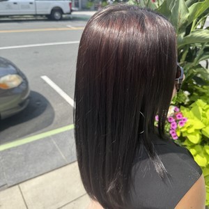 Img 0742
