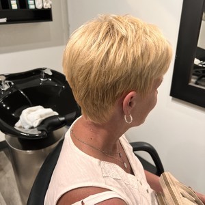 Img 2542