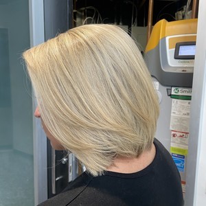 Img 3553
