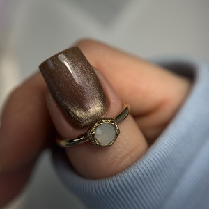 Img 7607