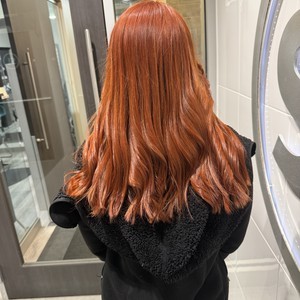 Img 0011