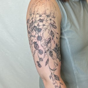Img 0347