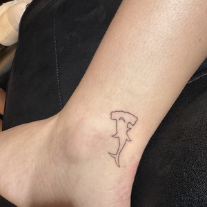 Img 0212