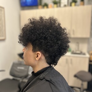 Img 1626