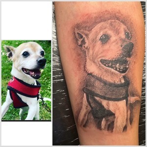 100d5cb4 3c85 40d2 9111 64429f92e895