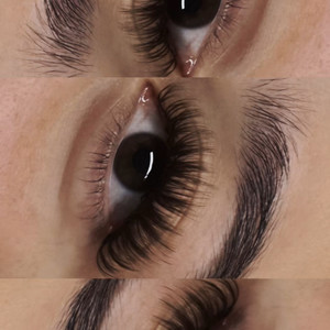 4918258f 0668 4e25 ba35 c1c2dd65c569