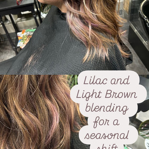 Bacff025 d8a6 4d71 b0bf f6febf40091f