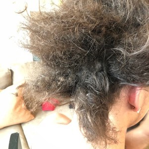 D7ddd95f a780 4543 80ff 45251c203759