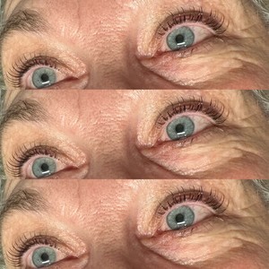 E7ce4006 16f6 4a12 a919 a6bda9769403