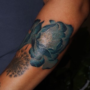 9f202012 8ed2 404a bf3e b5b5e07326db