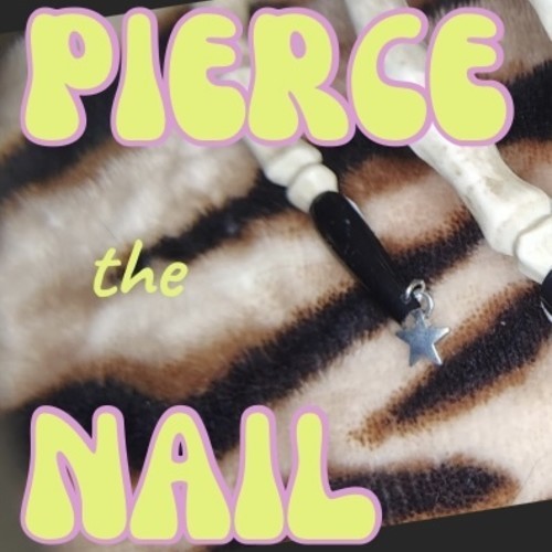 Pierce the nail biz card 2 %28rounded business cards %28landscape%29%29   1