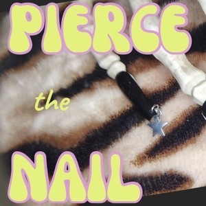 Pierce the nail biz card 2 %28rounded business cards %28landscape%29%29   1