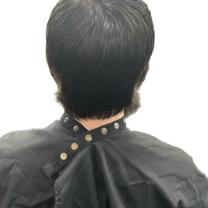 3199cc2d 26f2 4f72 b145 f81c6b3f2f48