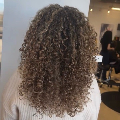 99f7cd1c 6f26 463f aa4d 2130df19586a