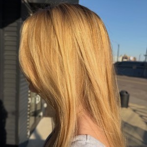 94c5d3f8 02cc 485b 94c6 d49fe962179a