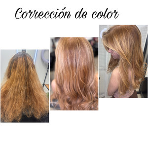 6a27cb64 edb3 4373 933f 6cce3fc9a395