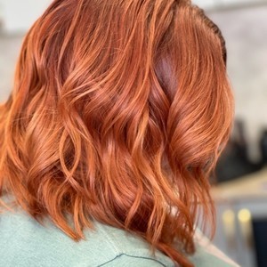 C8c8135c b803 40ed 877b d5aecd35c300