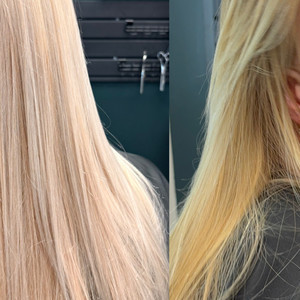 1463d952 f806 4949 9d83 324d5593af05