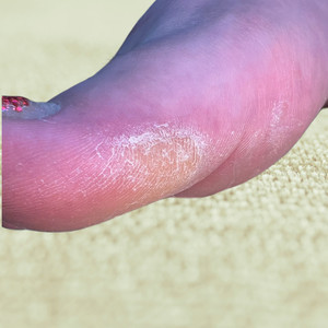 4f0269a0 3063 4407 9d23 1b9f42530d0e