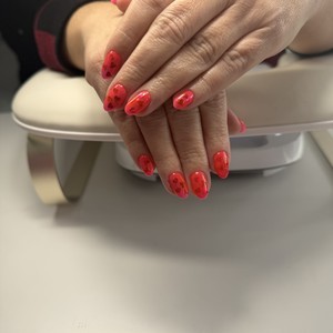 Img 0040