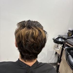 Img 0251
