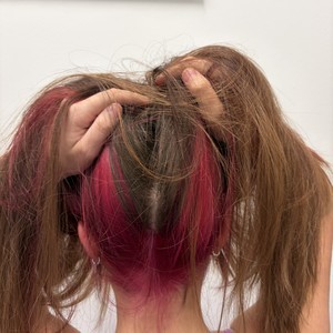 Img 7535