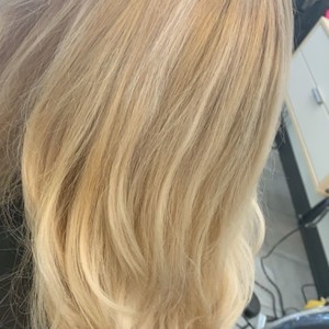 Img 0405