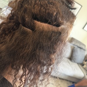 Img 4699