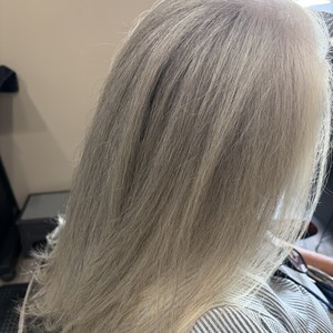 Img 0215