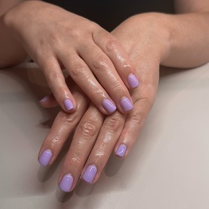 Img 0885