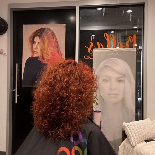 Img 2727