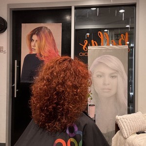 Img 2727