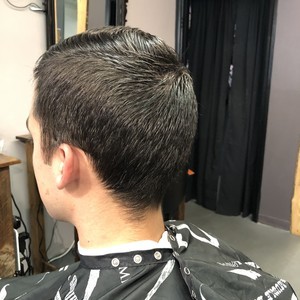 Img 0584