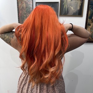 Img 0623