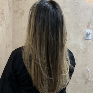 Img 0986