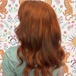 Img 4870