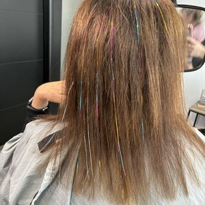 Img 0306