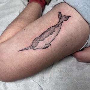 Narwhal