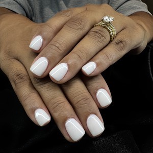 Img 6596