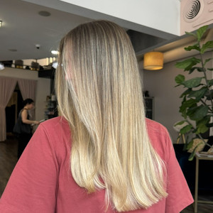 Img 7183