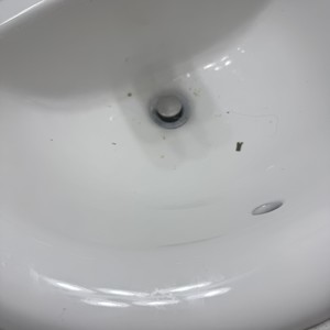 Img 9455