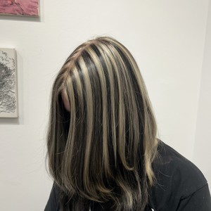 Img 0398