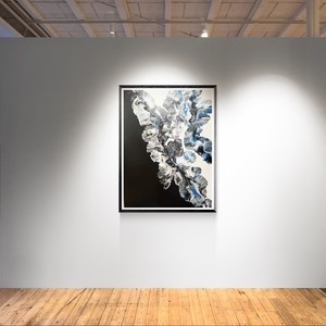 Img 0089