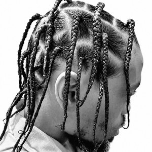 Salon lofts braids 900x1200
