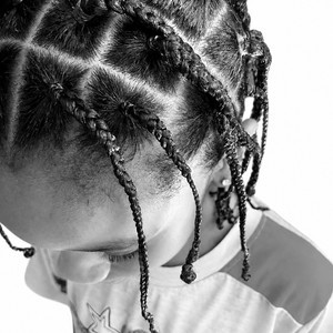 Braids 900x1200
